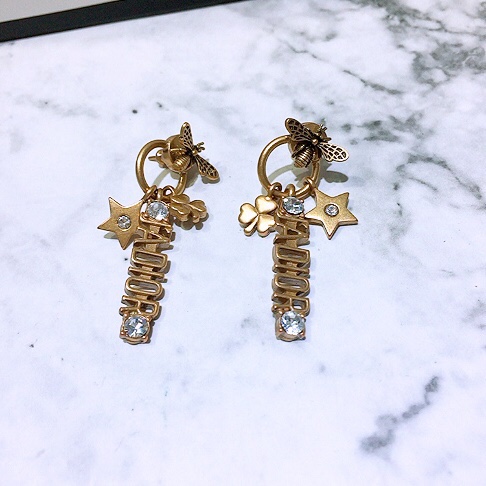 Dior Earring 04lyr294